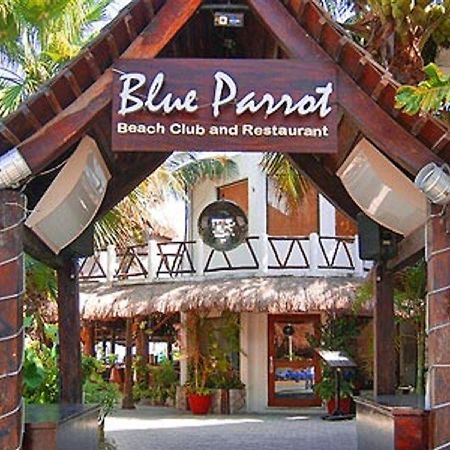Blue Parrot Suites Playa del Carmen Bagian luar foto