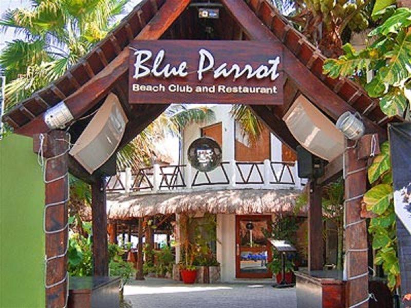 Blue Parrot Suites Playa del Carmen Bagian luar foto