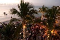 Blue Parrot Suites Playa del Carmen Bagian luar foto