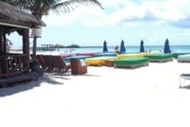 Blue Parrot Suites Playa del Carmen Bagian luar foto